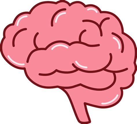 brain clipart